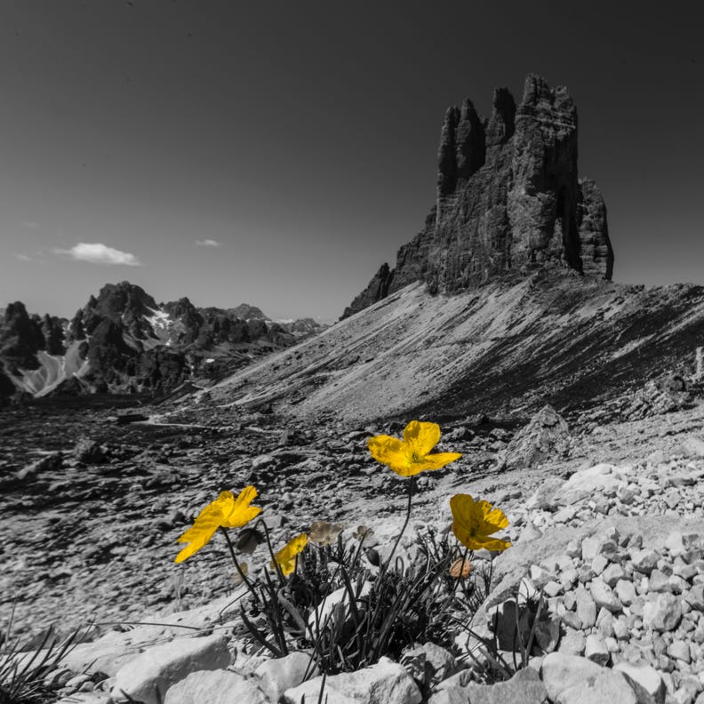 Le Tre Cime di Lavaredo - Les Dolomites